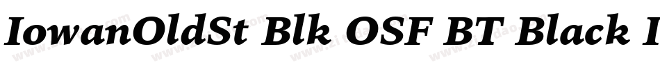 IowanOldSt Blk OSF BT Black Italic字体转换